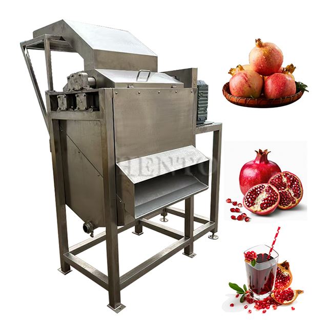 Half Juice Extracting Machine factory