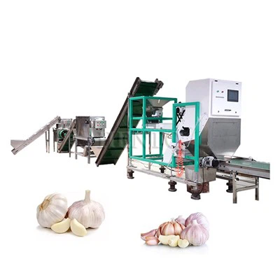 Hvitløksseparator Peeler Sorter Produksjonslinje